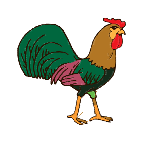 Fowl Animals Fowl Animals