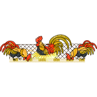 Fowl Animals Fowl Animals