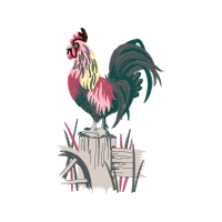 Fowl Animals Fowl Animals