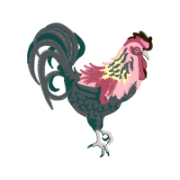 Fowl Animals Fowl Animals