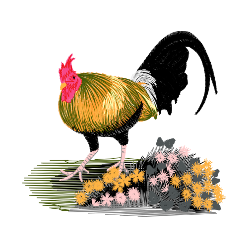 Fowl Animals Fowl Animals