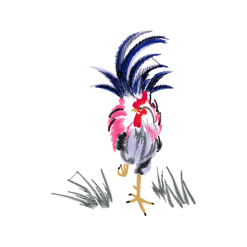 Fowl Animals Fowl Animals