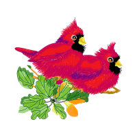 Fowl Animals Fowl Animals