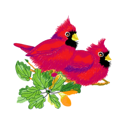 Fowl Animals Fowl Animals