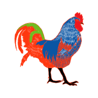 Fowl Animals Fowl Animals