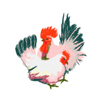 Fowl Animals Fowl Animals