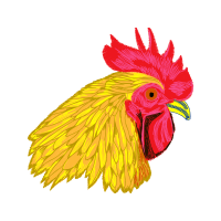 Fowl Animals Fowl Animals