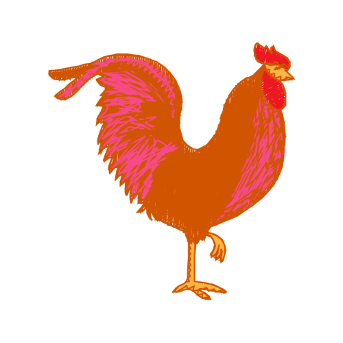 Fowl Animals Fowl Animals