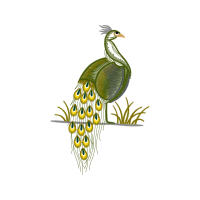 Fowl Animals Fowl Animals