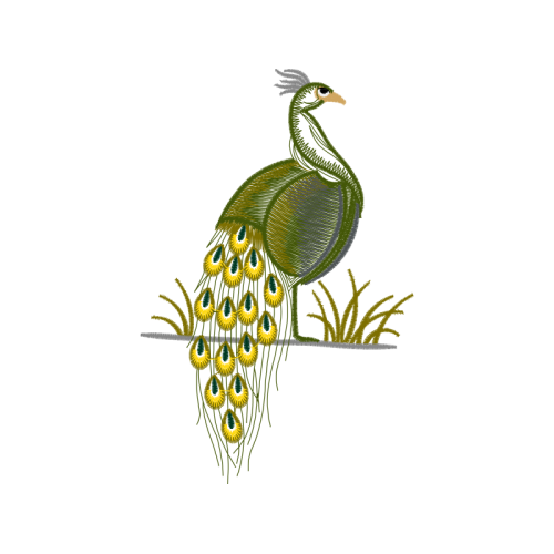 Fowl Animals Fowl Animals