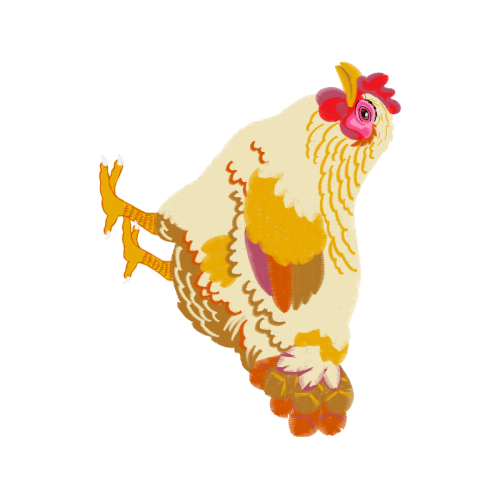 Fowl Animals Fowl Animals