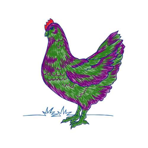 Fowl Animals Fowl Animals