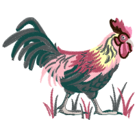 Fowl Animals Fowl Animals