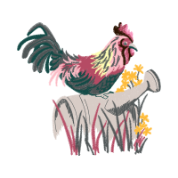 Fowl Animals Fowl Animals