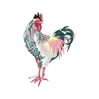 Fowl Animals Fowl Animals