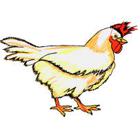 Fowl Animals Fowl Animals