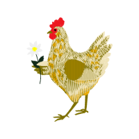 Fowl Animals Fowl Animals