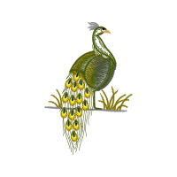 Fowl Animals Fowl Animals