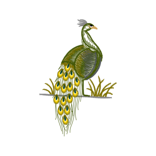 Fowl Animals Fowl Animals