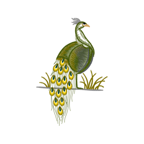 Fowl Animals Fowl Animals