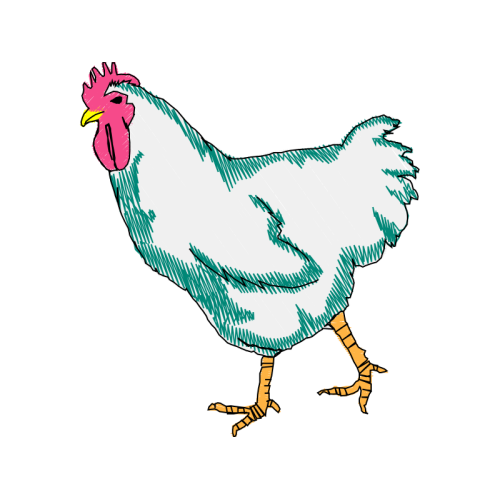 Fowl Animals Fowl Animals