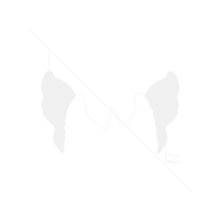 Fowl Animals Fowl Animals