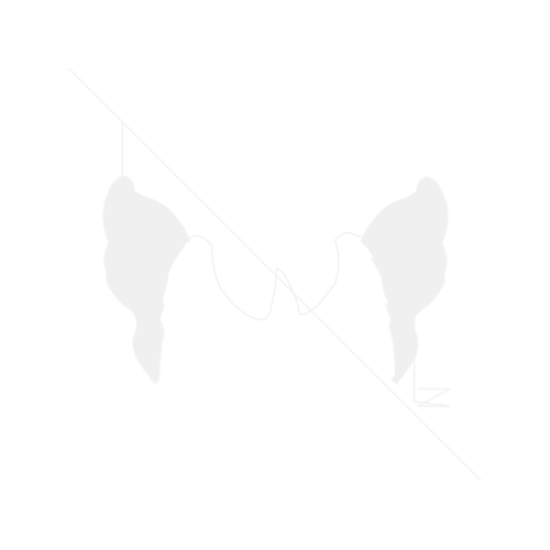 Fowl Animals Fowl Animals