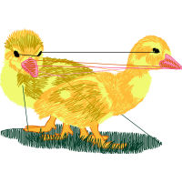 Fowl Animals Fowl Animals