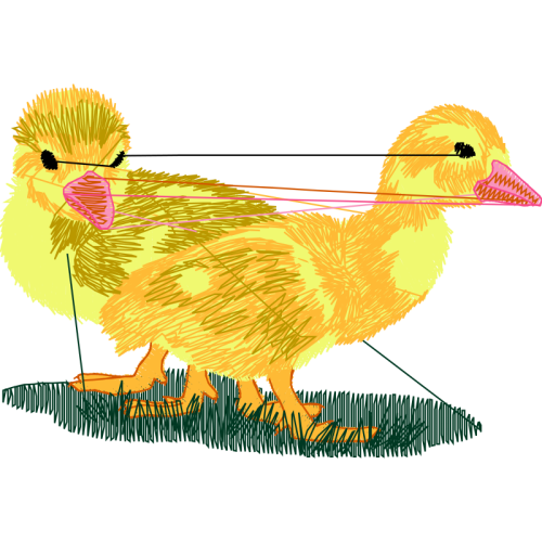 Fowl Animals Fowl Animals