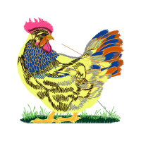 Fowl Animals Fowl Animals