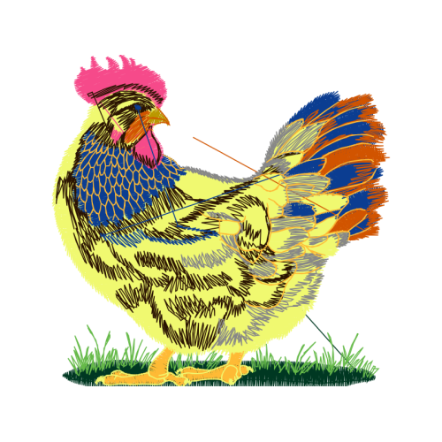 Fowl Animals Fowl Animals