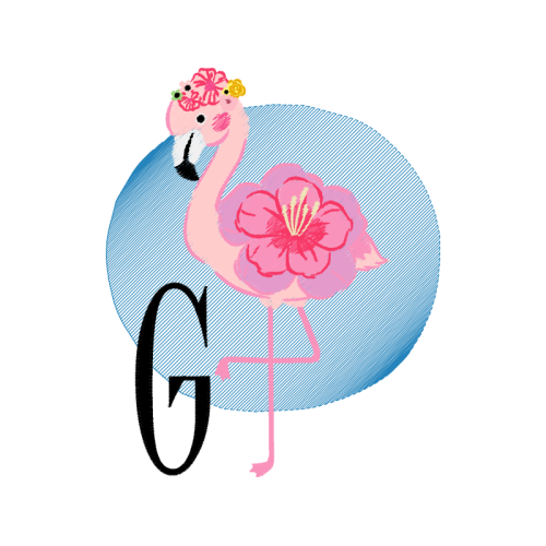 Fowl Animals Fowl Animals