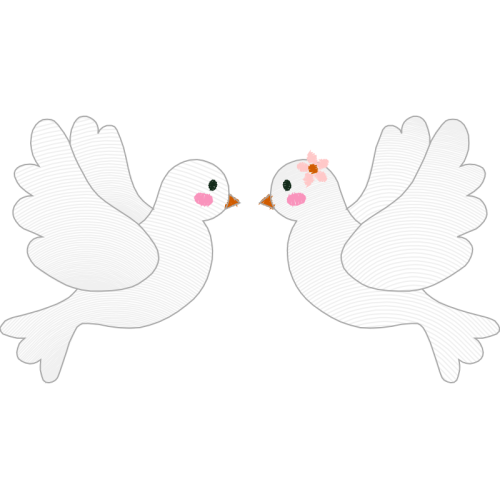 Fowl Animals Fowl Animals