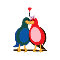 Gif Animals Gif Animals