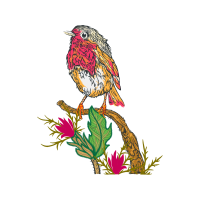 Golden Crowned Sparrow Animals Golden Crowned Sparrow Animals