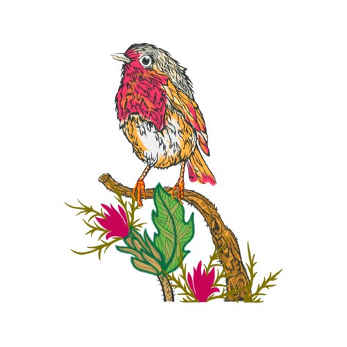 Golden Crowned Sparrow Animals Golden Crowned Sparrow Animals