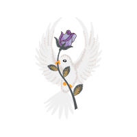 Golden Eagle Animals Golden Eagle Animals