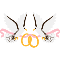 Golden Eagle Animals Golden Eagle Animals