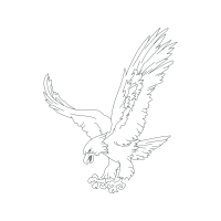 Golden Eagle Animals Golden Eagle Animals