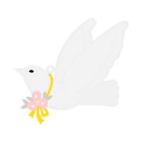 Gossamer Winged Butterflies Animals Gossamer Winged Butterflies Animals