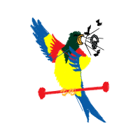 Graphic Animals Graphic Animals