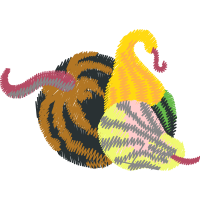 Graphic Animals Graphic Animals