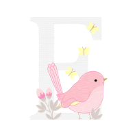 Graphic Animals Graphic Animals