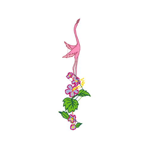 Graphic Animals Graphic Animals