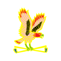 Graphic Animals Graphic Animals