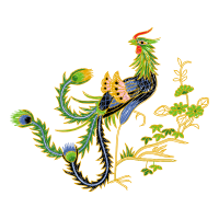 Graphic Animals Graphic Animals