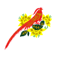 Graphic Animals Graphic Animals