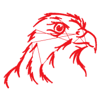 Graphic Animals Graphic Animals