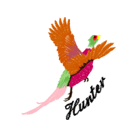 Graphic Animals Graphic Animals