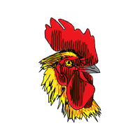 Graphic Animals Graphic Animals